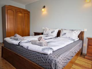 Comfort maisonette near to Alexander Nevsky Cathedral - 6