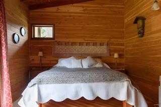 Dream Home Amid Native Trees - 9