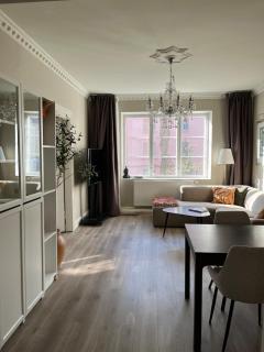 Classical apartment in luxury area in Oslo - 7