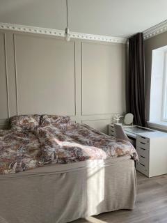 Classical apartment in luxury area in Oslo - 4
