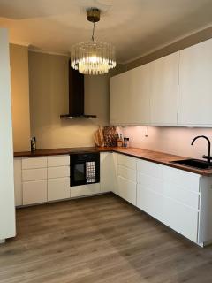 Classical apartment in luxury area in Oslo - 1
