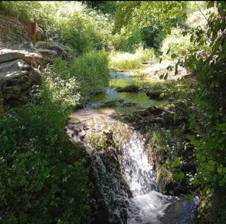 Studio avec vue, calme absolu, en pleine nature - 6