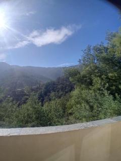 Studio avec vue, calme absolu, en pleine nature - 9