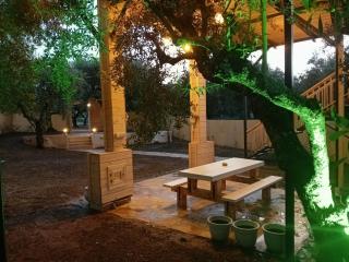 Magic treehouse - 5