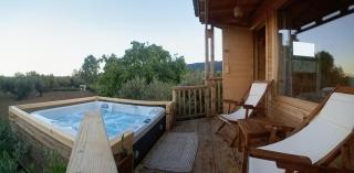 Magic treehouse - 3