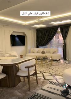 شقه علي النيل مباشره - 4