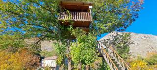 TreeHouse - 0