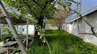 Qabala Ceyhun House - 5