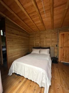 Casa dharma - 1