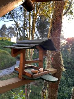 Casa dharma - 3