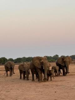Gateway to the Lower Zambezi - Chirundu - 9