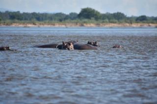 Gateway to the Lower Zambezi - Chirundu - 5