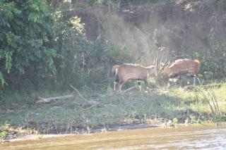 Gateway to the Lower Zambezi - Chirundu - 3