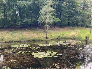 5 person holiday home in Hovborg - 5