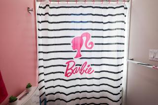 Pink Paradise Barbie Themed Bliss - 4
