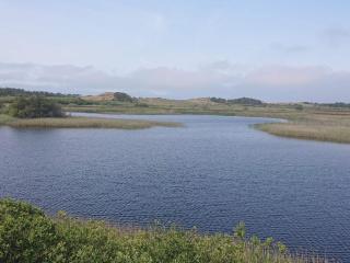 5 star holiday home in Vejers Strand - 1