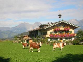 Lindenhof - Kitzbühel - 3