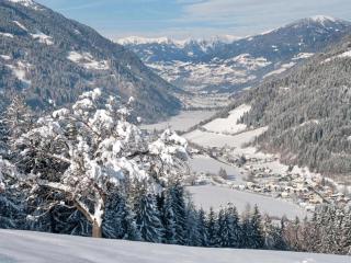 Naturchalet am Afritzer See - 4