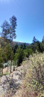 Selena Camping - 3