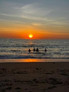 PuraVida - 3