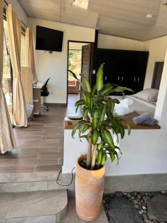 Glamping Eclipse Mirador Jarana Villa de Leyva - 1