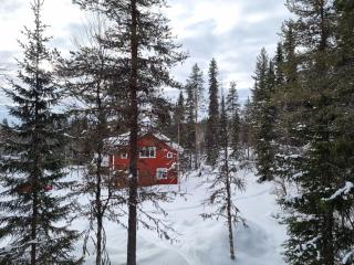 Secluded Wilderness Retreat 3BR Ski, Hike & Fish, 2 Fireplaces, Sleeps 9 - 9