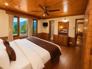 Manali 3 Bedroom Independent Heritage villas near private Volvo Bus Stand, Manali - 4