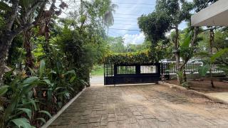 Tanzanite place - 5