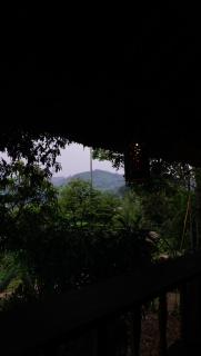 Ruộng coffee and homestay - 0