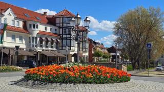 Suite Am Wald - 4
