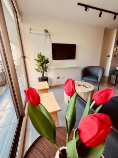 Modern Loft and Pool - Heart of Santiago Centro - 5