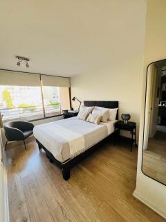 Modern Loft and Pool - Heart of Santiago Centro - 4