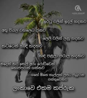 ramuka - 4
