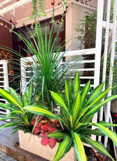 Le Haus - 8