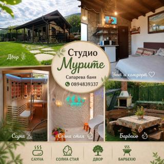 Студио Мурите - 8