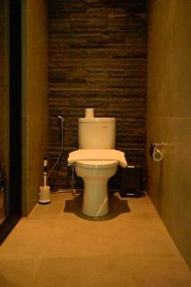 The Luxury Villa - 2