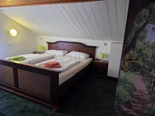 Ferienhaus Olbersdorf - 5