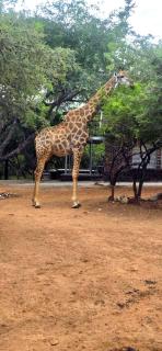 BushRiver Guest House - 4