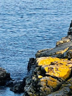 Sea Views Cliffs 50 M From The Sea In Sandvig - 6