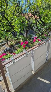 Apartman Saric K&M - 6