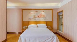 Vienna Hotel Anhui Bozhou Lixin Yuanli Plaza - 3