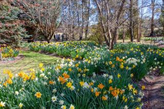 Blue Mountains Owl Pen Cottage Farm Stay Retreat - 4