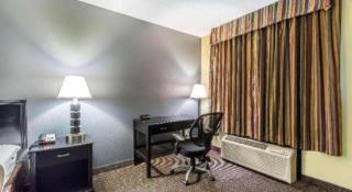 Econo Lodge Martin - 3