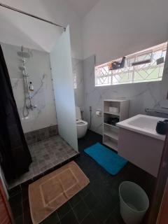 Beachfront Villa near Mont Choisy Beach - 9