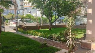 Lemon Garden - 2