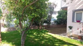 Lemon Garden - 4