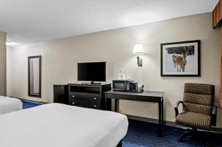 Quality Inn & Suites - 1