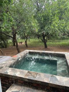 BushRiver Guest House - 8