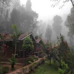 ganeshestatehomestay - 7