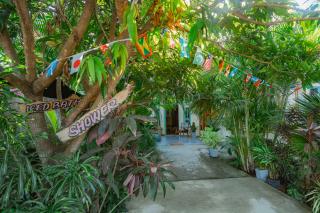 Dreamy Hostel Arugambay - 7